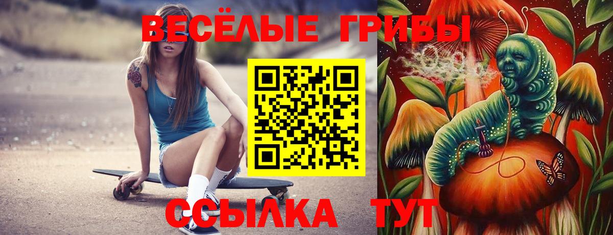 Псилоцибиновые грибы ЛСД Коркино