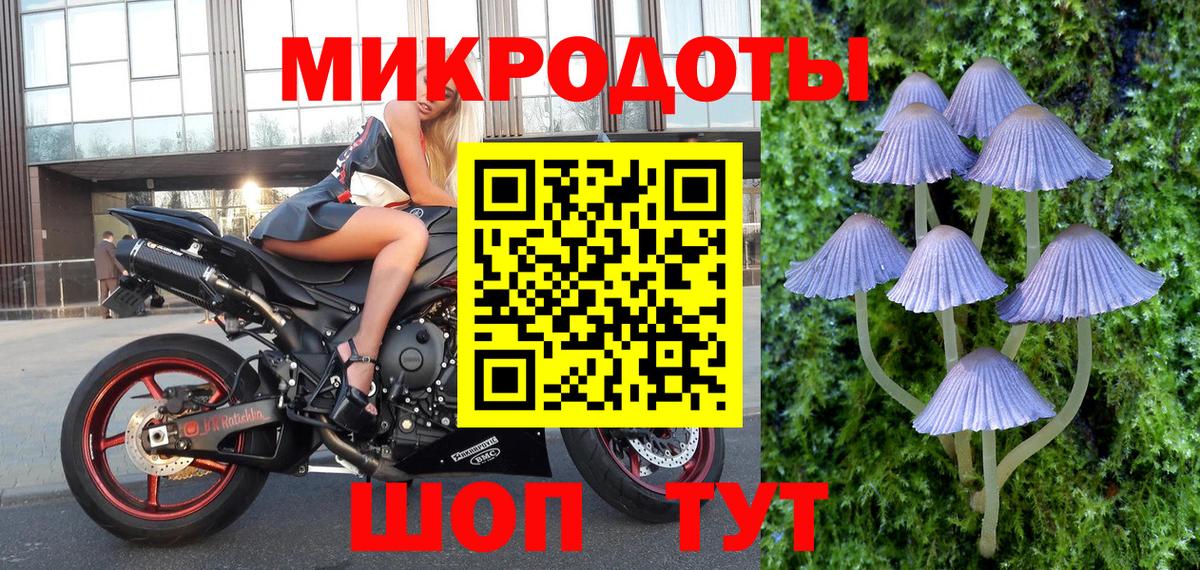 где купить наркоту  Вход с VPN  Коркино  Галлюциногенные грибы MAGIC MUSHROOMS  Галлюциногенные грибы Magic Shrooms 